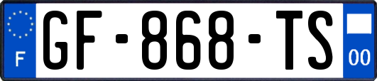 GF-868-TS