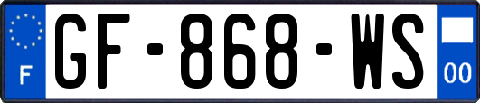 GF-868-WS