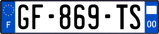 GF-869-TS