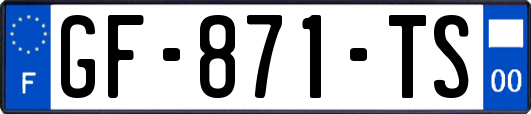 GF-871-TS