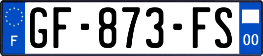 GF-873-FS