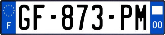 GF-873-PM