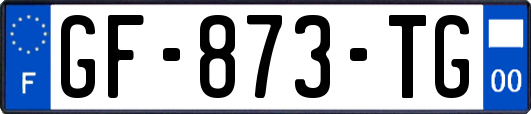 GF-873-TG