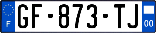 GF-873-TJ