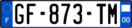 GF-873-TM