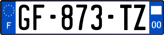 GF-873-TZ