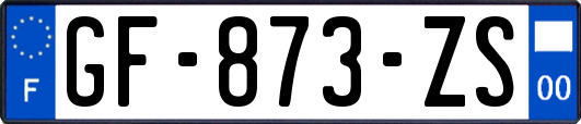 GF-873-ZS