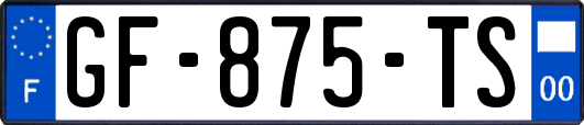 GF-875-TS