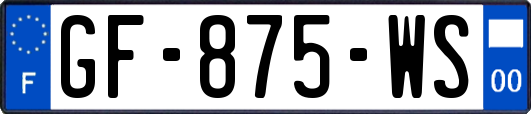GF-875-WS