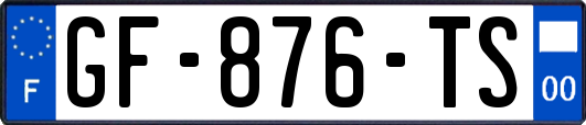 GF-876-TS