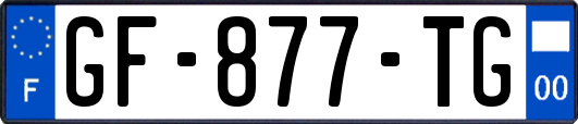 GF-877-TG