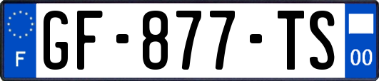 GF-877-TS