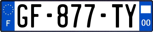 GF-877-TY