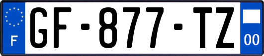 GF-877-TZ
