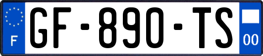 GF-890-TS