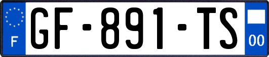 GF-891-TS