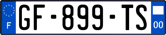 GF-899-TS