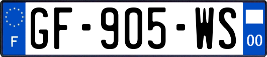 GF-905-WS