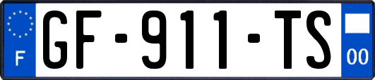 GF-911-TS