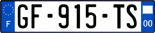 GF-915-TS