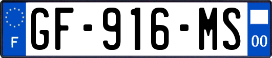 GF-916-MS