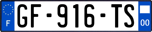 GF-916-TS