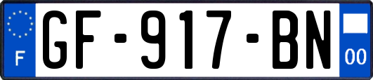 GF-917-BN