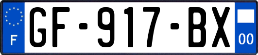 GF-917-BX