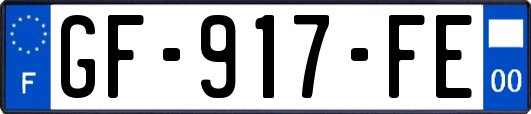 GF-917-FE
