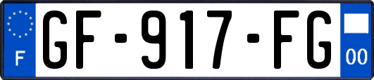 GF-917-FG