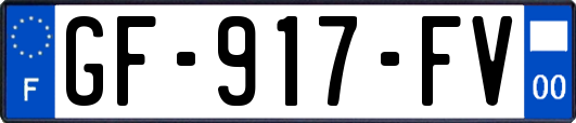 GF-917-FV