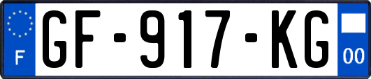 GF-917-KG