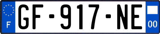 GF-917-NE