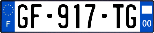 GF-917-TG
