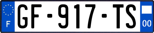 GF-917-TS