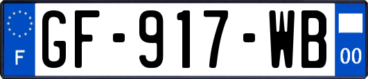 GF-917-WB