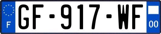 GF-917-WF