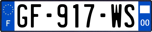 GF-917-WS