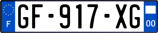 GF-917-XG
