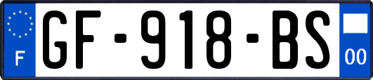 GF-918-BS
