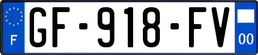 GF-918-FV