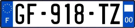 GF-918-TZ