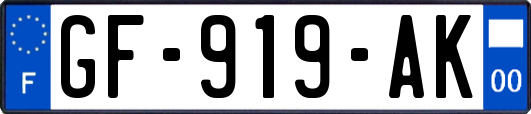 GF-919-AK