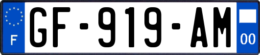 GF-919-AM