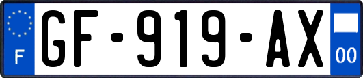 GF-919-AX