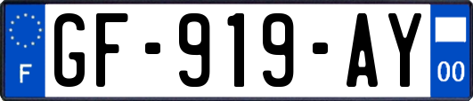 GF-919-AY