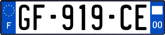 GF-919-CE