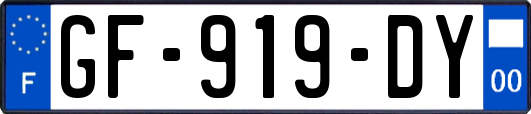 GF-919-DY