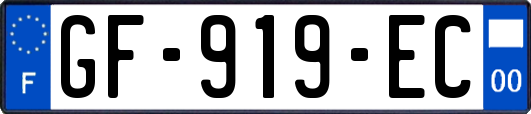 GF-919-EC