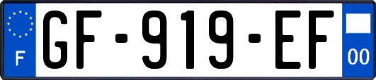 GF-919-EF